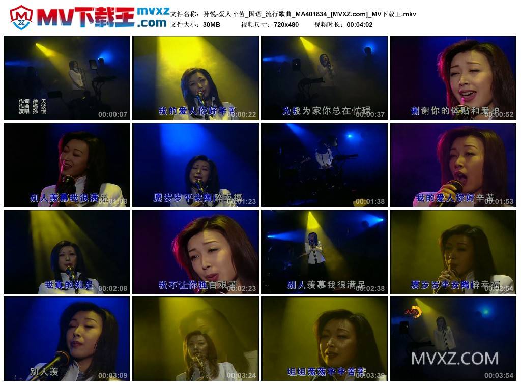 孙悦-爱人辛苦_国语_流行歌曲_MA401834